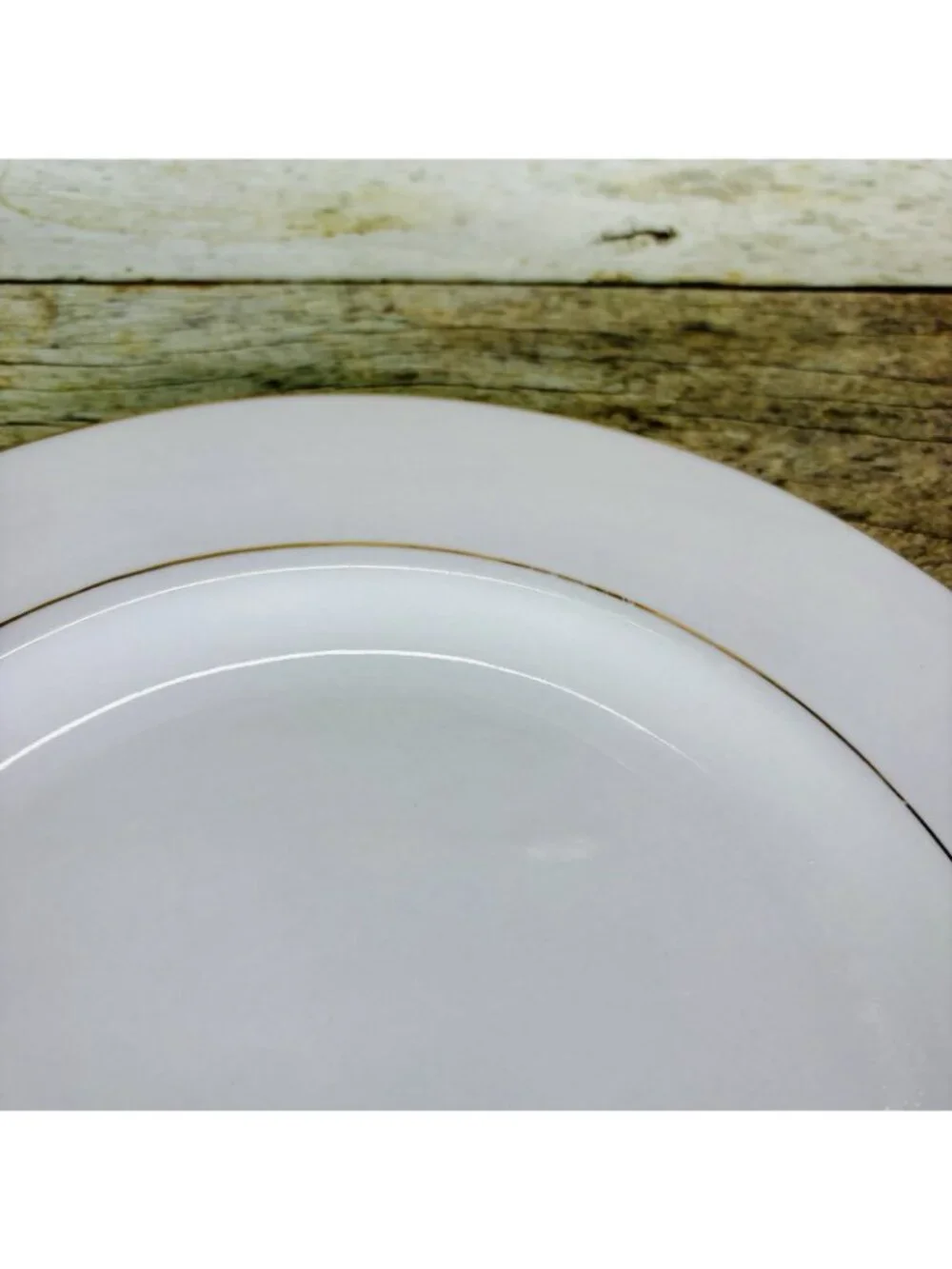 Vintage Kmart ELEGANT GOLD White Gold Trim Rim Porcelain Dinner Plates Set of 2